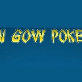Play Pai Gow Poker slot by Rival on highflybetcasino.org.pl